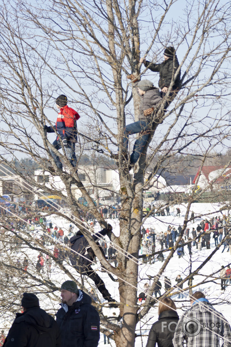 Skijorings - Twitch'n'ride Cēsis