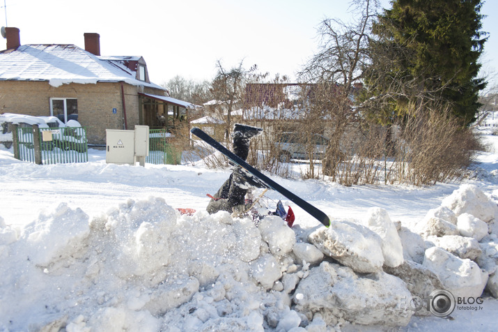 Skijorings - Twitch'n'ride Cēsis