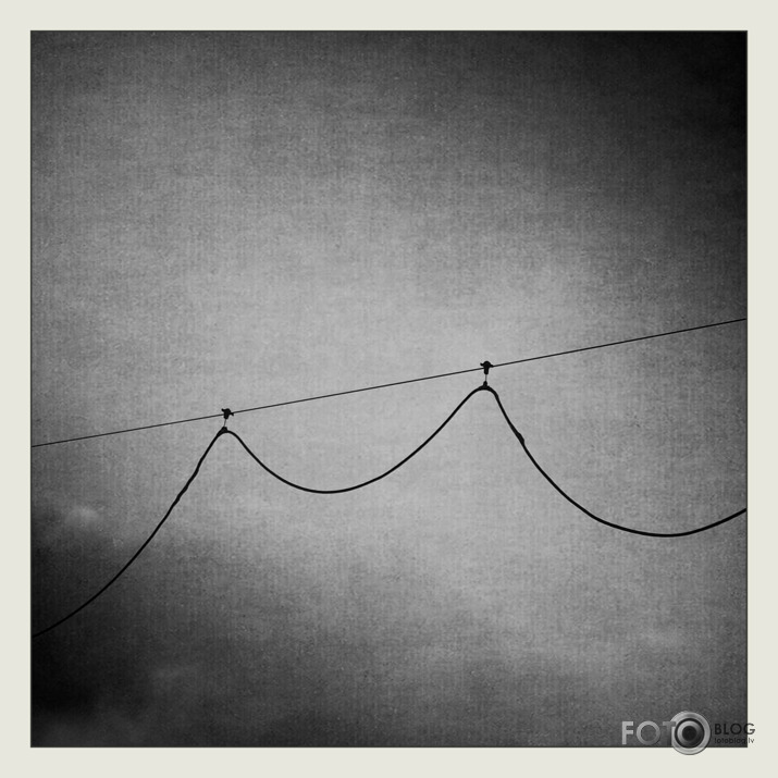 Forma 1x1