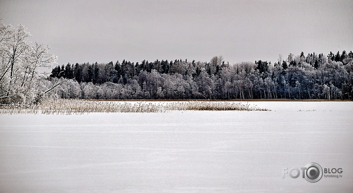 Janvāris.