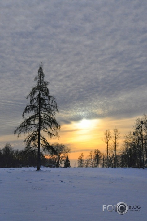 Ziemīga noskaņa