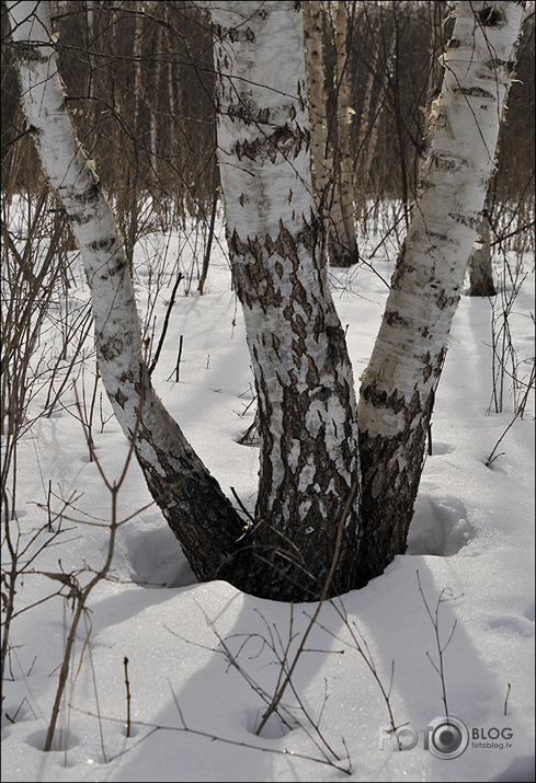 Pēcpusdienas pastaiga