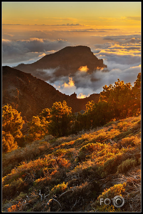 Pico de la Nieve