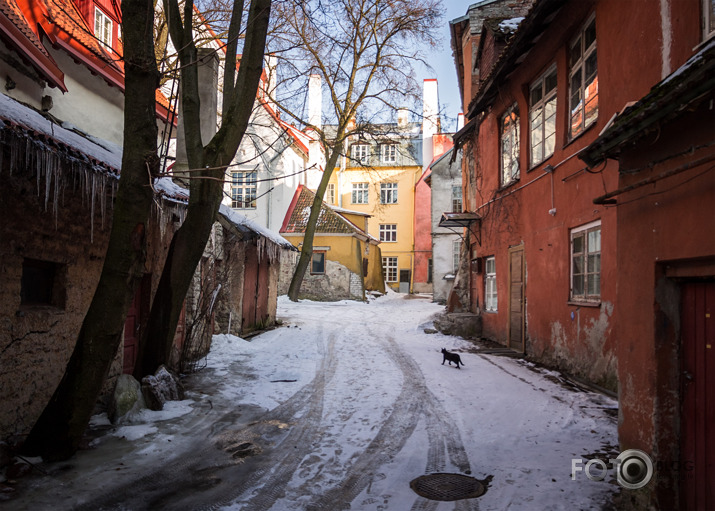 Brīvdiena Tallinā I