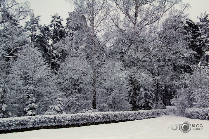 8.aprīlis 2013