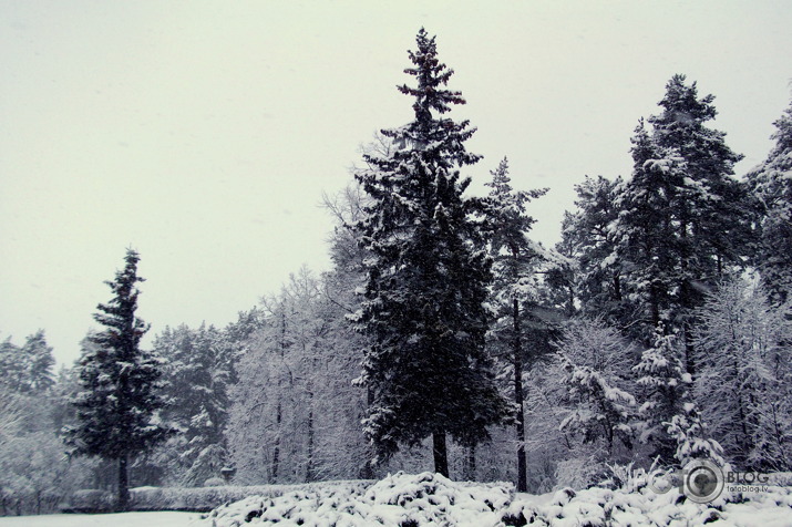 8.aprīlis 2013