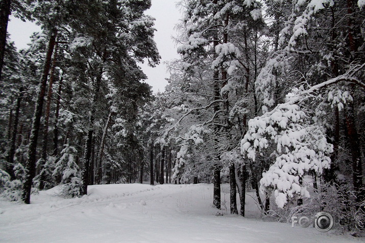 8.aprīlis 2013