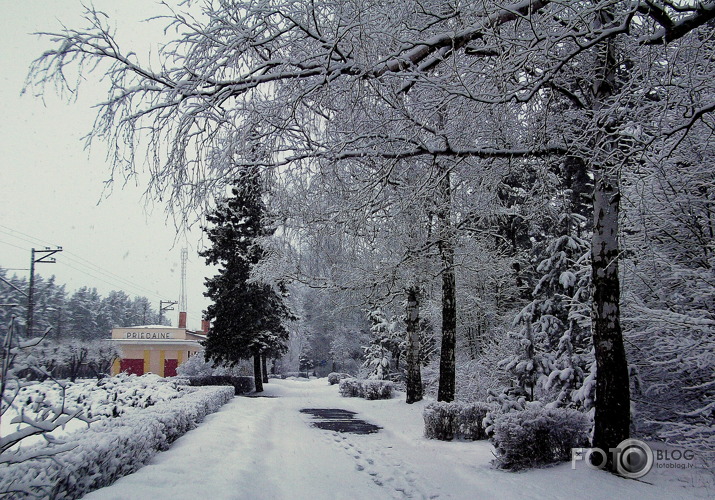 8.aprīlis 2013
