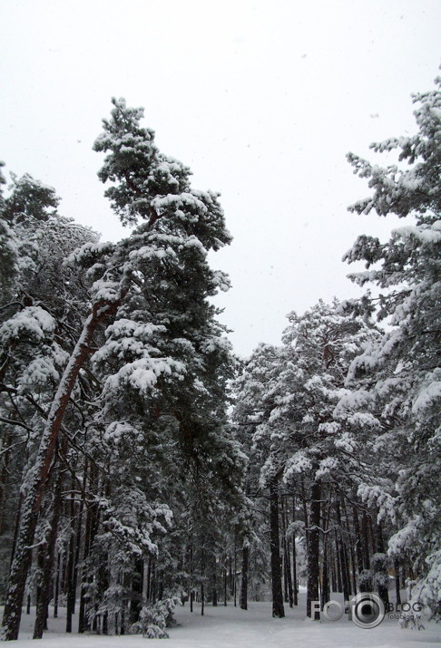 8.aprīlis 2013