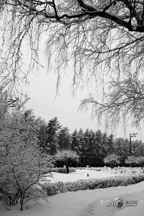 8.aprīlis 2013