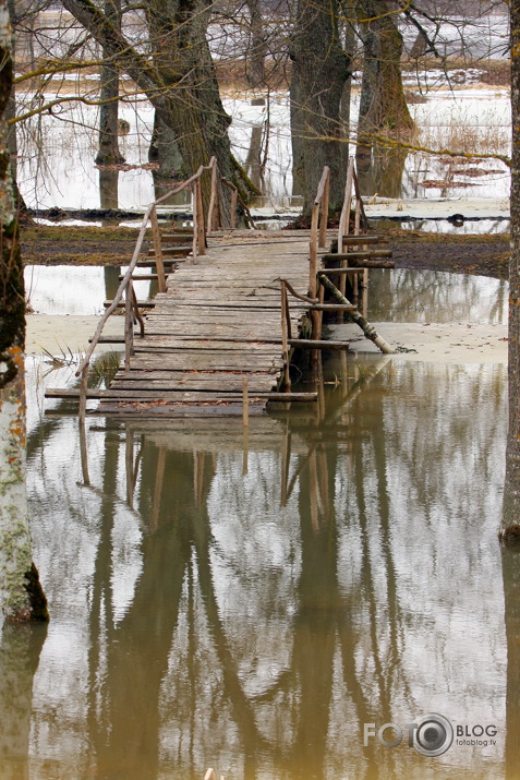 Brīvdienas palu "zīmē"