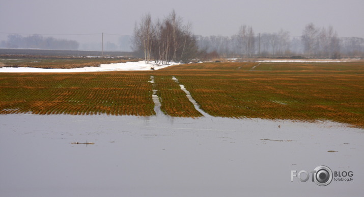 Brīvdienas palu "zīmē"