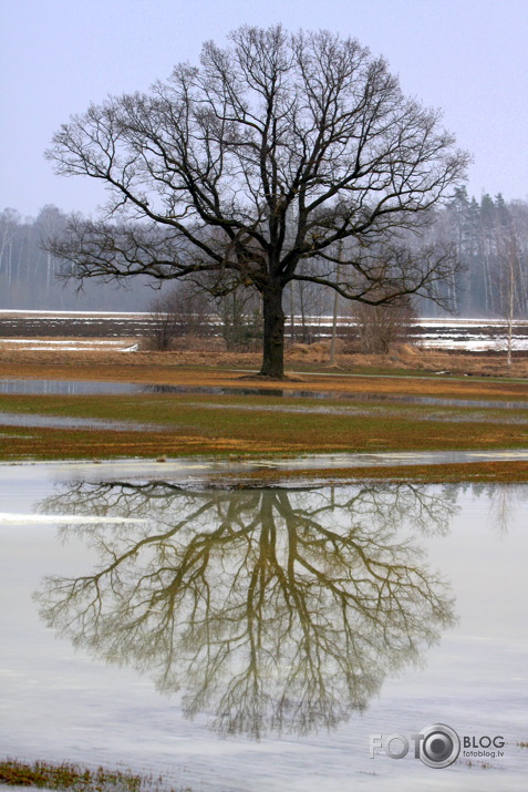 Brīvdienas palu "zīmē"