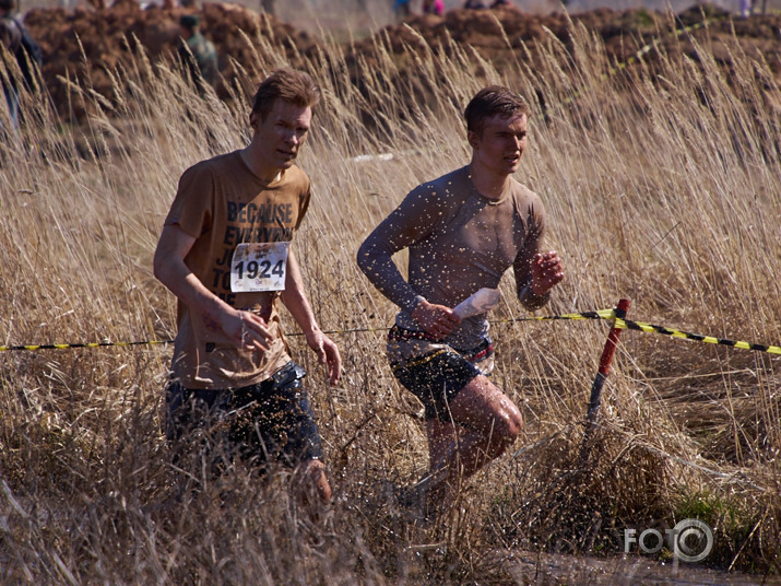 Stipro skrējiens 2013