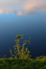 Pievakare