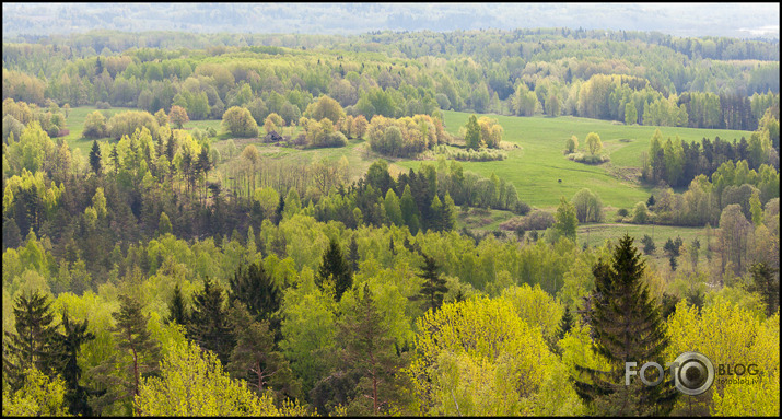 Pavasaris no putna lidojuma.