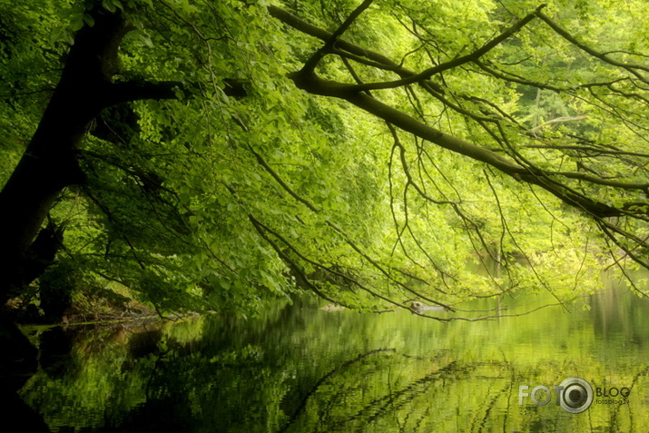 Jasmundas nacionālais parks,Ziemeļvācija