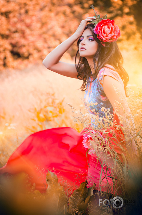 Fairy Tales