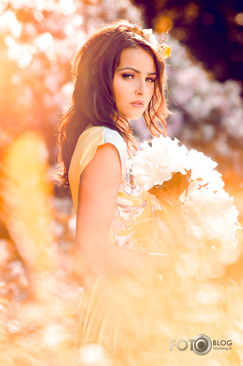 Fairy Tales