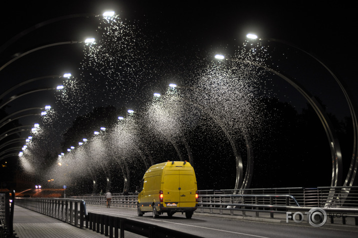 Kukaiņu uzlidojums gaujas tiltam