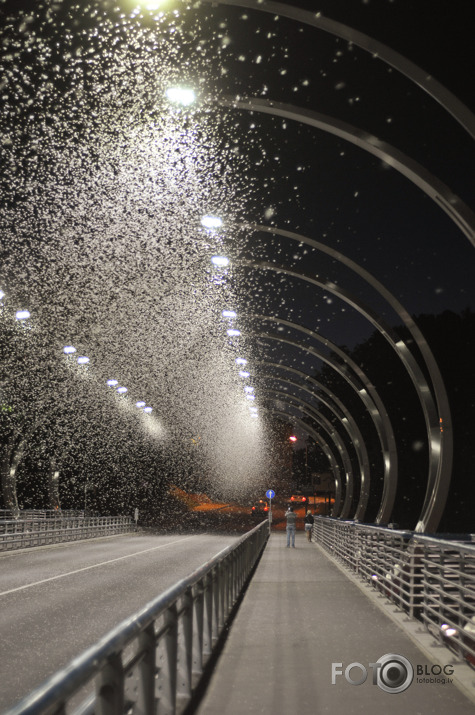 Kukaiņu uzlidojums gaujas tiltam