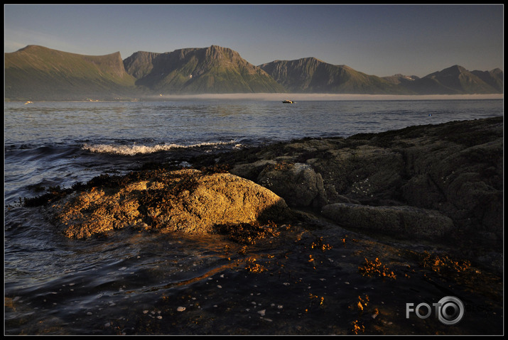 Emblem & Sulesund