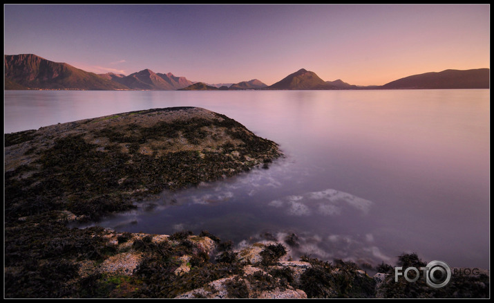 Emblem & Sulesund