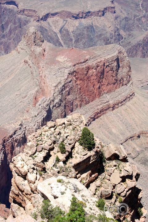 1156 jūdzes pa ASV. Grand Canyon dienvidu mala