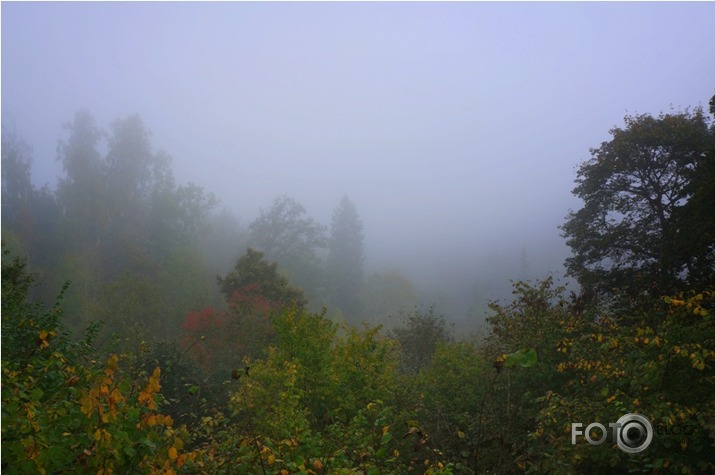 Sigulda miglas plīvurā