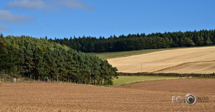 Zelta rudens 