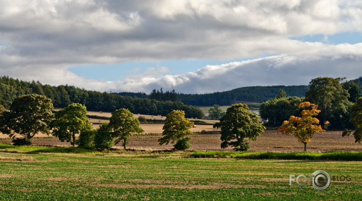 Zelta rudens 