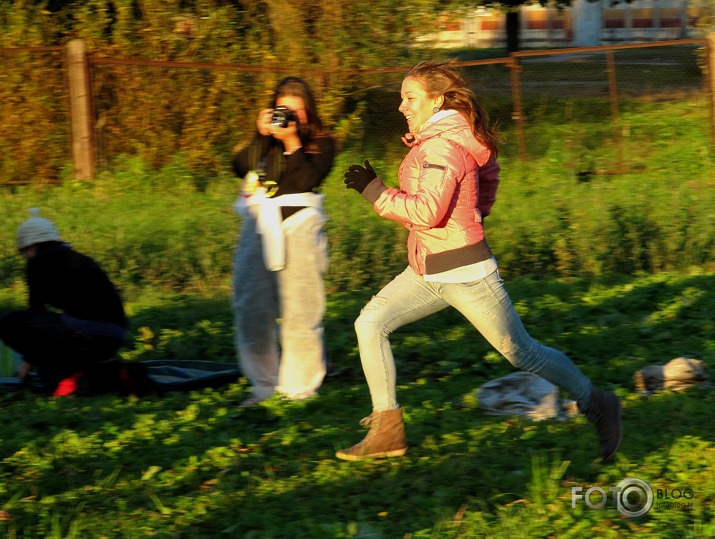 Vetu fukši 2013