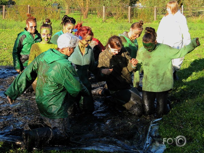 Vetu fukši 2013