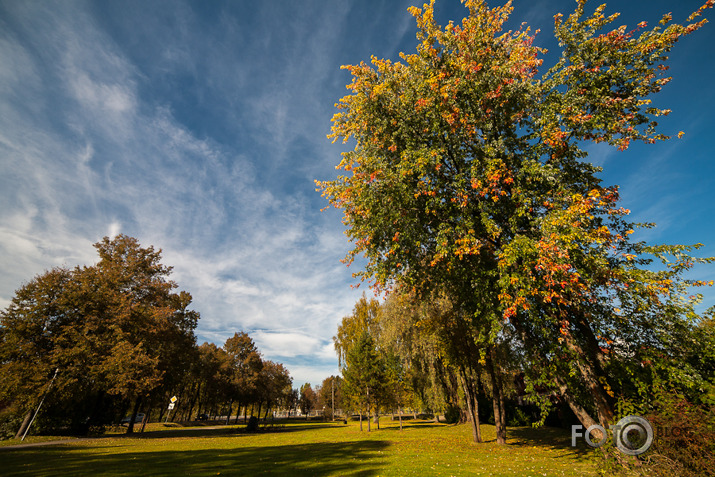 rudens klasika