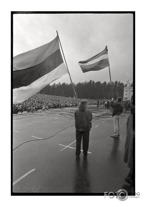 Tas gadijums Mežaparkā II