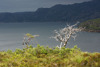 Loch Torridon I