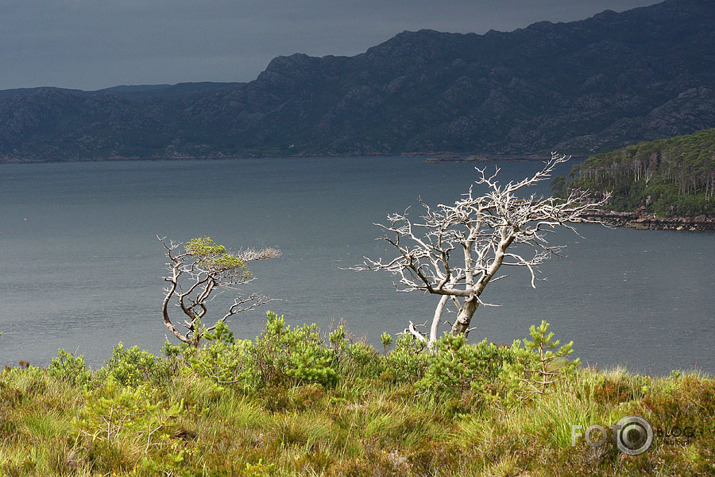 Loch Torridon I