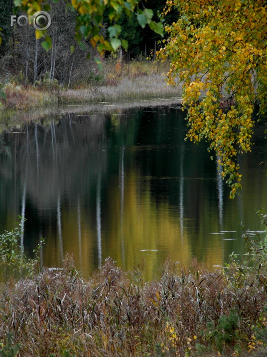 viena no 50 nokrāsām