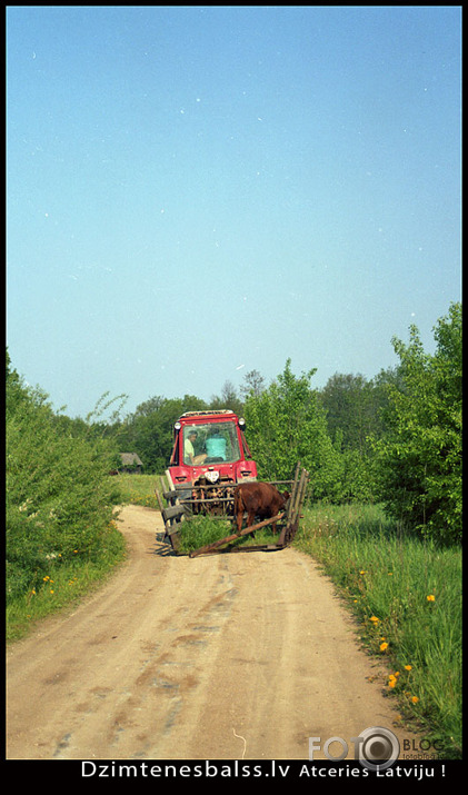 Kāzu ceļojums