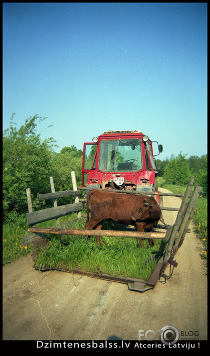 Kāzu ceļojums