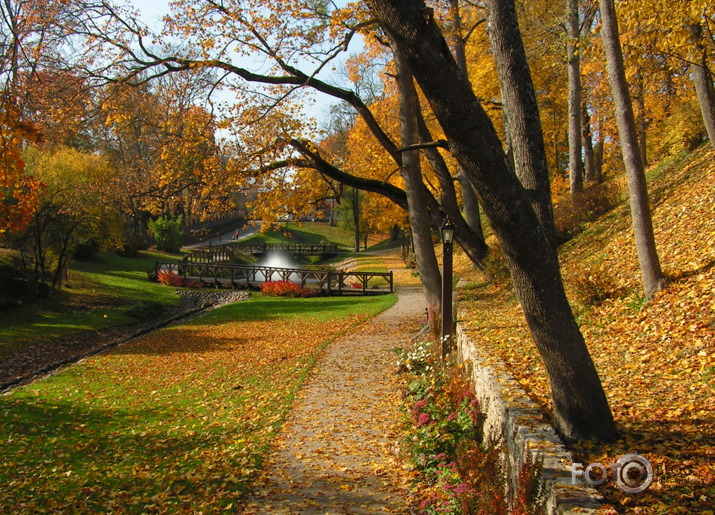 atvasaras šarms Kuldīgā