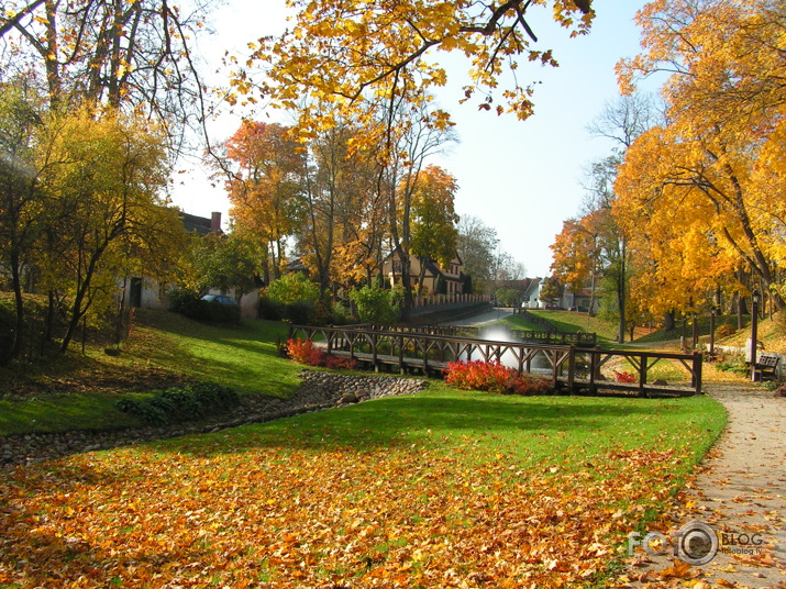 atvasaras šarms Kuldīgā