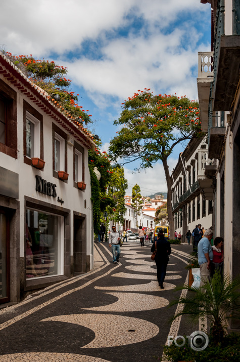 Madeira