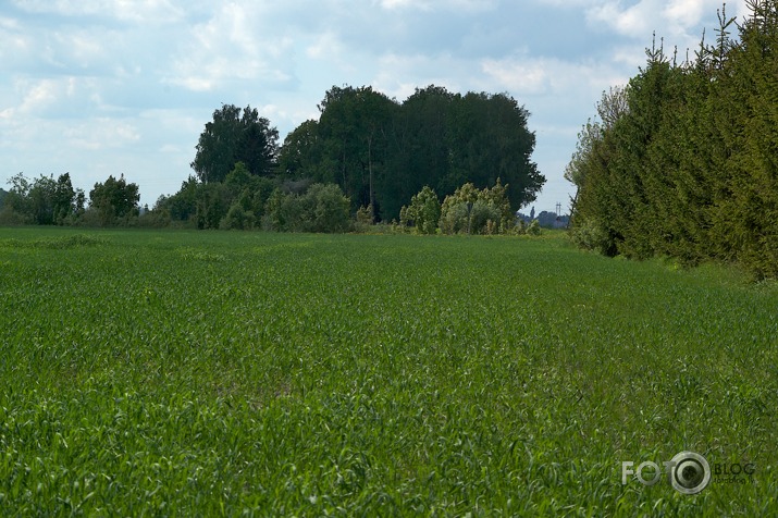 Skats pa logu gada garumā