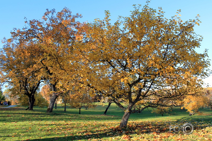 Atgriezties rudens krāšņumā...