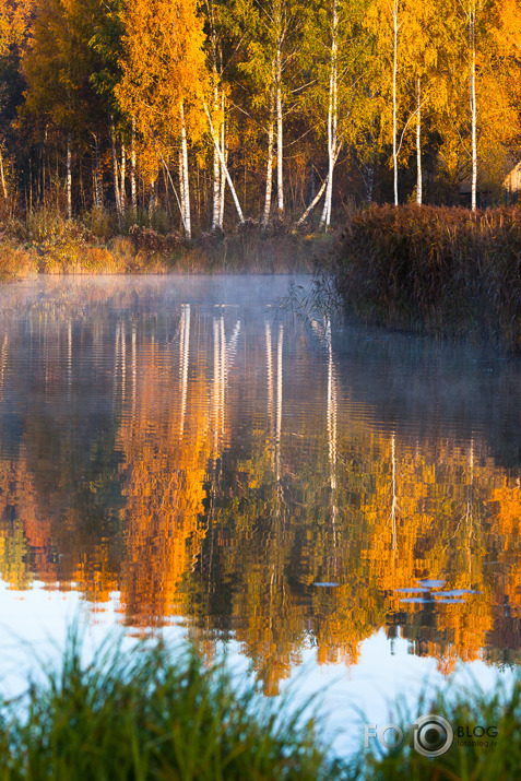 Rudens: Skrīveri - Koknese