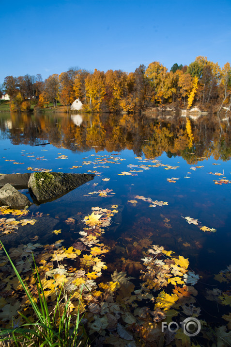 Rudens: Skrīveri - Koknese