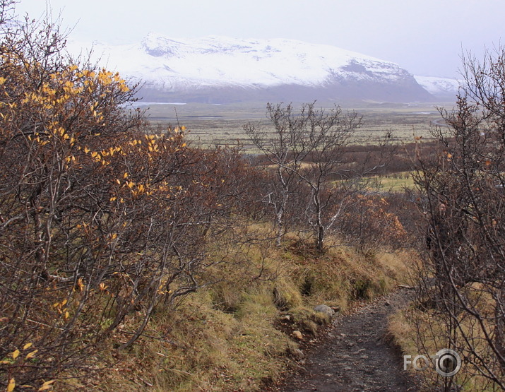 Islande 2013.10.27