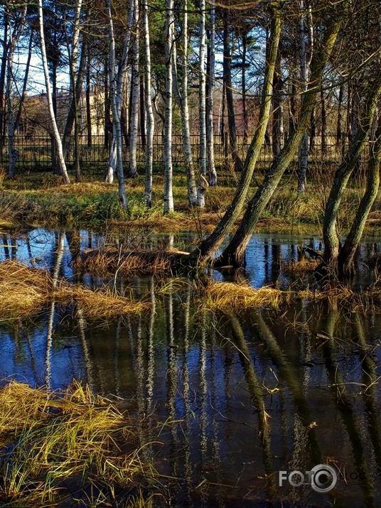 Liepājas novembris 