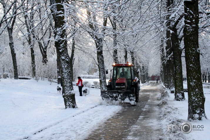 sestdienas rīts Grīziņkalnā